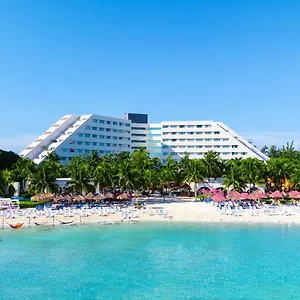 Oasis Palm Meksyk